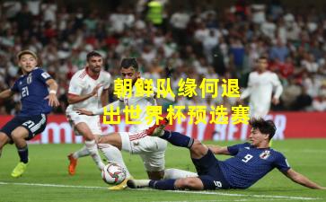 朝鲜队缘何退出世界杯预选赛