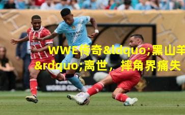 WWE传奇“黑山羊”离世,摔角界痛失标志性巨星