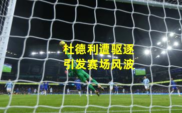 杜德利遭驱逐引发赛场风波