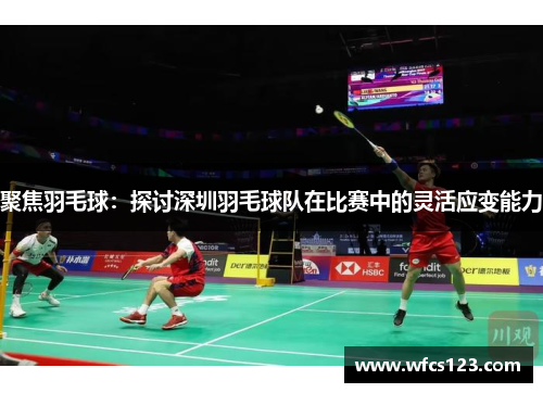 聚焦羽毛球：探讨深圳羽毛球队在比赛中的灵活应变能力